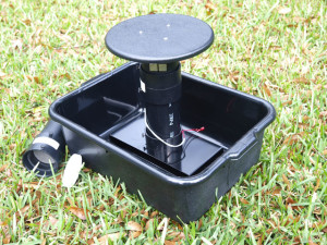 Frommer Updraft Gravid Trap